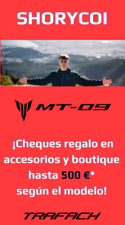 Special Collaboration Trafach & Shorycoi